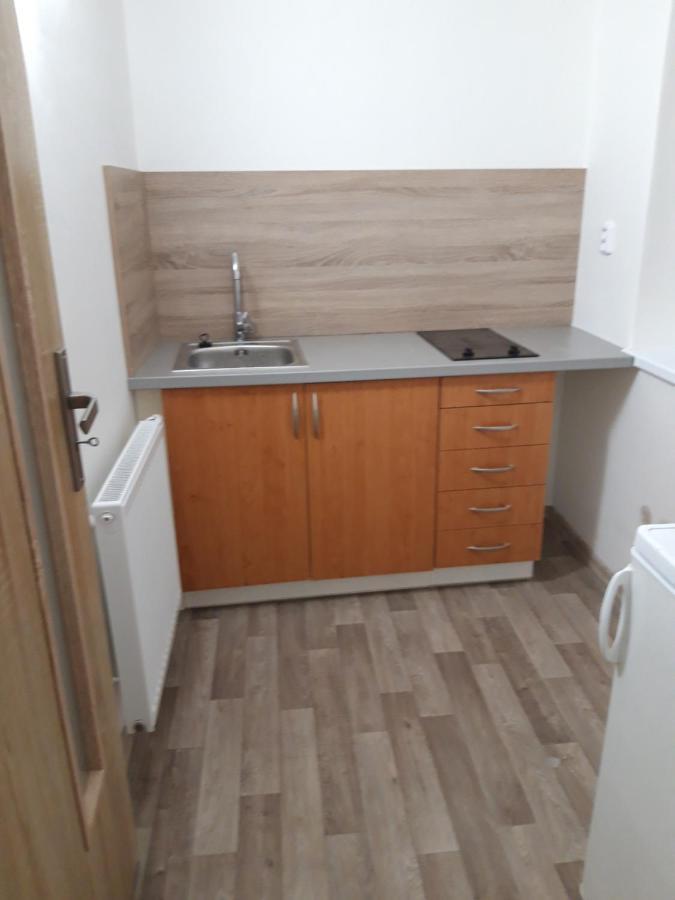 Apartman Plasy Exteriér fotografie